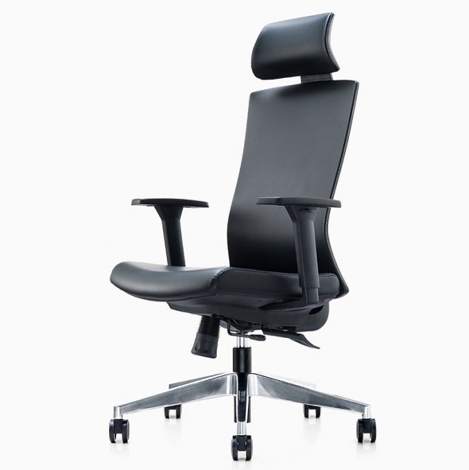 Ergotrend เก้าอี้เพื่อสุขภาพเออร์โกเทรน รุ่น Dual-X Classic