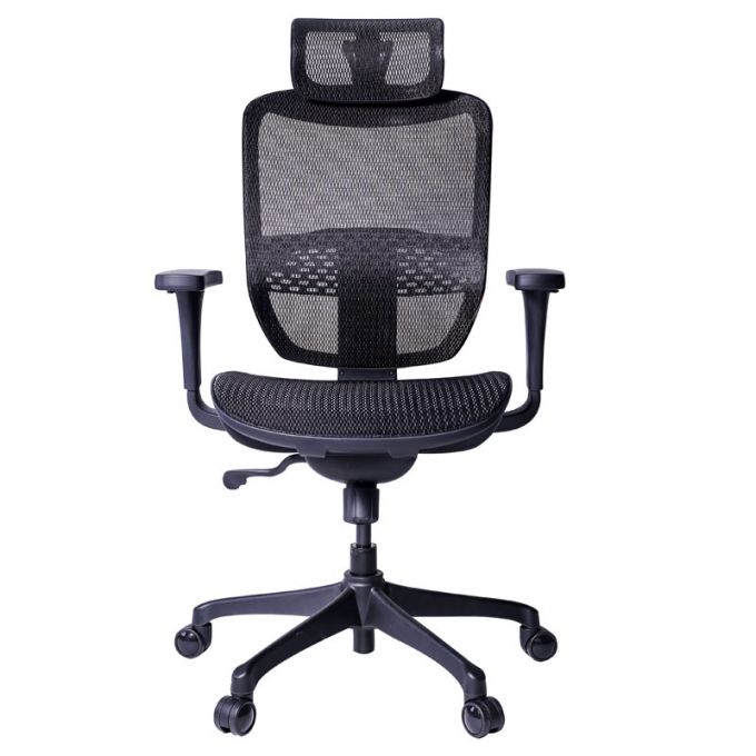 Ergotrend เก้าอี้เพื่อสุขภาพเออร์โกเทรน รุ่น ERGO-JOY-PRO black