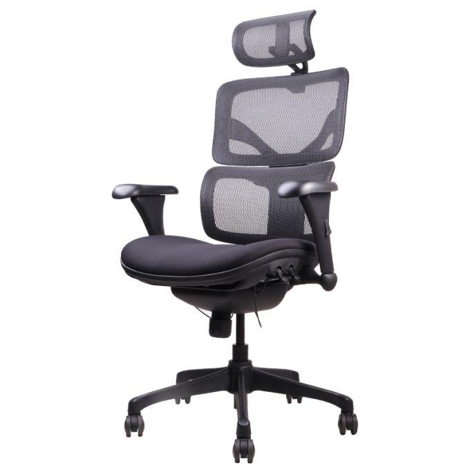 Ergotrend เก้าอี้เพื่อสุขภาพเออร์โกเทรน รุ่น DOOM-01BMF