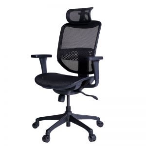 ergo joy